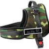 rp 04155 spd royal pet original imaffu2nkzdqrnfc rp 04155 spd royal pet original imaffu2nkzdqrnfc