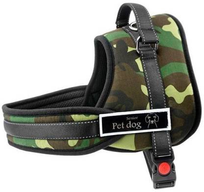 rp 04155 spd royal pet original imaffu2nkzdqrnfc rp 04155 spd royal pet original imaffu2nkzdqrnfc