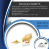 ALBOVIT Osmotic Anitec A4 1 ALBOVIT Osmotic Anitec A4 1