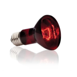 ΛΑΜΠΑ ΘΕΡΜΑΝΣΗΣ 40 watt Ε27