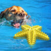 A starfish shaped dog toothbrush Pets Dog Toys Squeeze Squeaky Sound Funny Toy For Dogs Molar A starfish shaped dog toothbrush Pets Dog Toys Squeeze Squeaky Sound Funny Toy For Dogs Molar