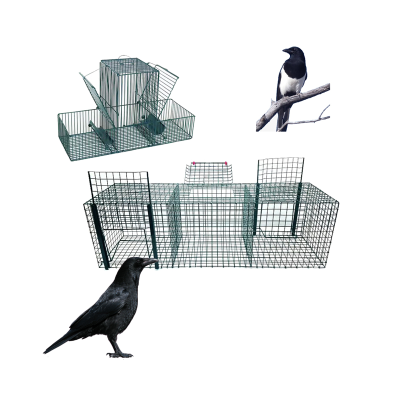 ΦΟΡΕΙΟ ΜΕΤΑΦΟΡΑΣ ΖΩΩΝ