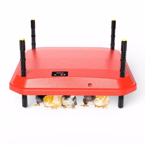 New-Design-Chicken-Brooder-Gas-Electric-Chick-Duck-Goose-Height-Adjustable-Chick-Heating-Plate (1) ΘΕΡΜΟΜΗΤΕΡΑ-ΠΛΑΚΑ ΗΛΕΚΤΡΙΚΗ 30X40 ΜΕ ΡΥΘΜΙΣΗ ΘΕΡΜΟΚΡΑΣΙΑΣ