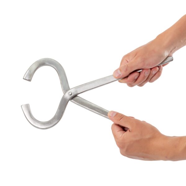 6929-cleste-forjata-pentru-examinarea-copitelor-30-cm ΠΕΝΣΑ ΤΑΝΑΛΙΑ ΕΞΕΤΑΣΗΣ ΟΠΛΩΝ ΤΩΝ ΑΛΟΓΩΝ