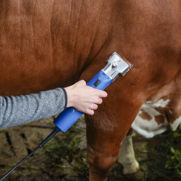 7660-masina-de-tuns-bovine-si-cabaline-aesculap-econom-ii-230-v ΚΟΥΡΕΥΤΙΚΗ ΜΗΧΑΝΗ KERBL ΓΙΑ ΒΟΟΕΙΔΗ ΚΑΙ ΑΛΟΓΑ