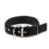 20fb45a78cad171de928000e2654ba8b7b23ea33_original ΠΕΡΙΛΑΙΜΙΟ - ΚΟΛΑΡΟ ΣΚΥΛΟΥ 70cm